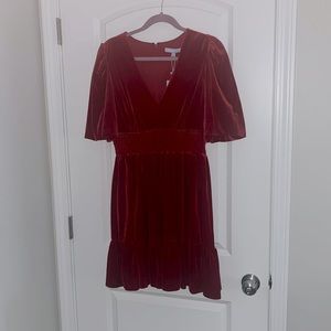 Brand new Red velvet dress!